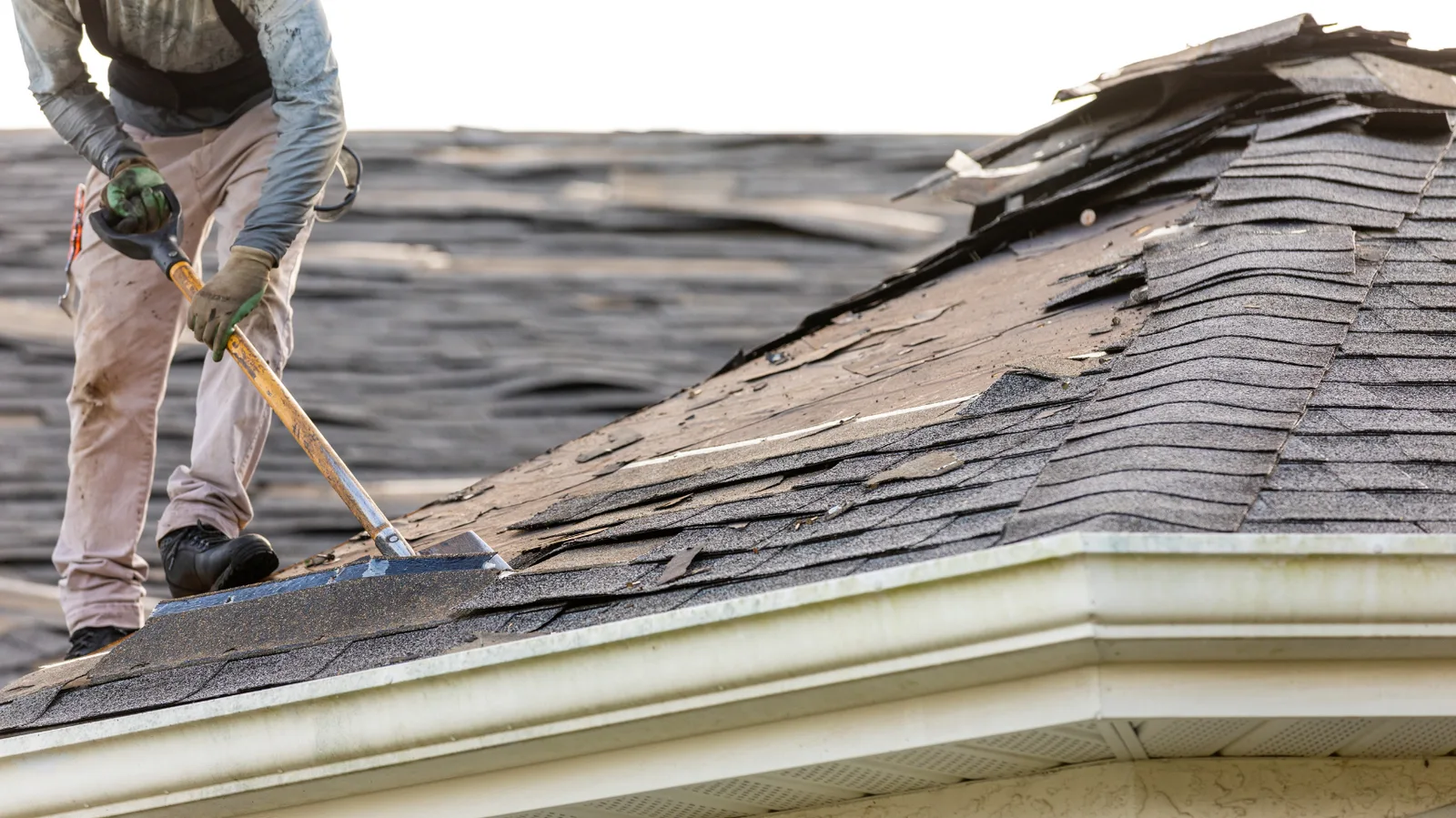 Roofer prying up worn shingles with a shovel near the roof edge