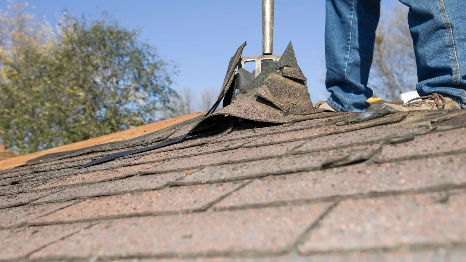 Shingle removal fork lifting old roofing beside a standing roofer